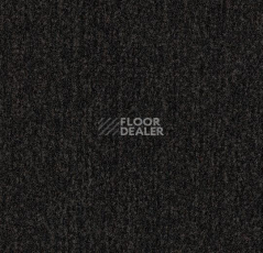 Грязезащитные покрытия Forbo Coral Classic 4750 Warm Black фото 1 | FLOORDEALER